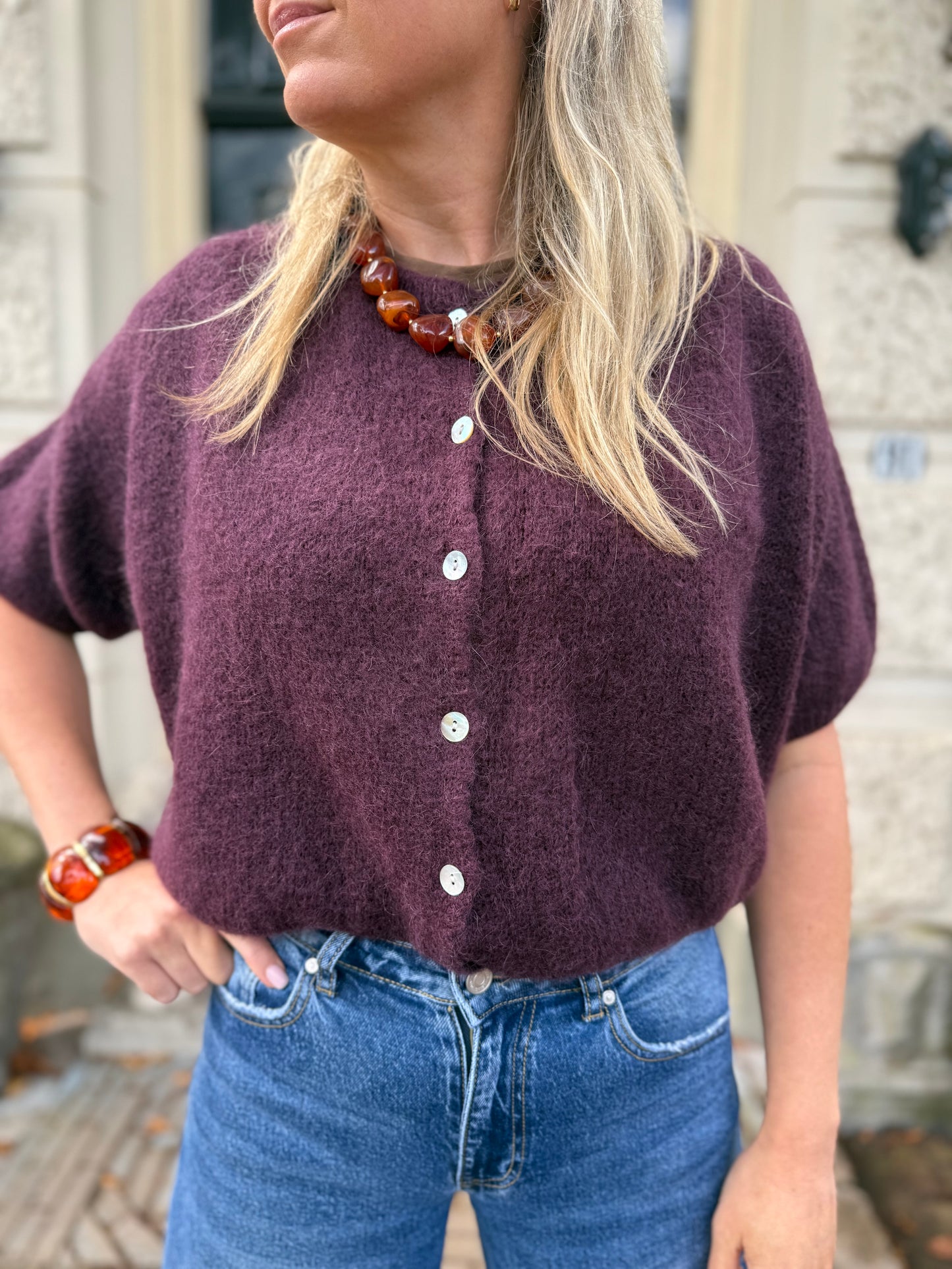 Vestje aubergine